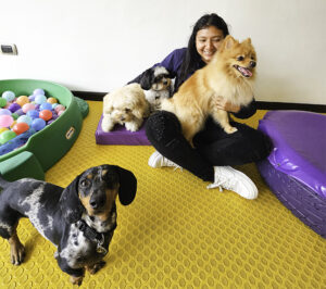 Trained and dog-loving staff